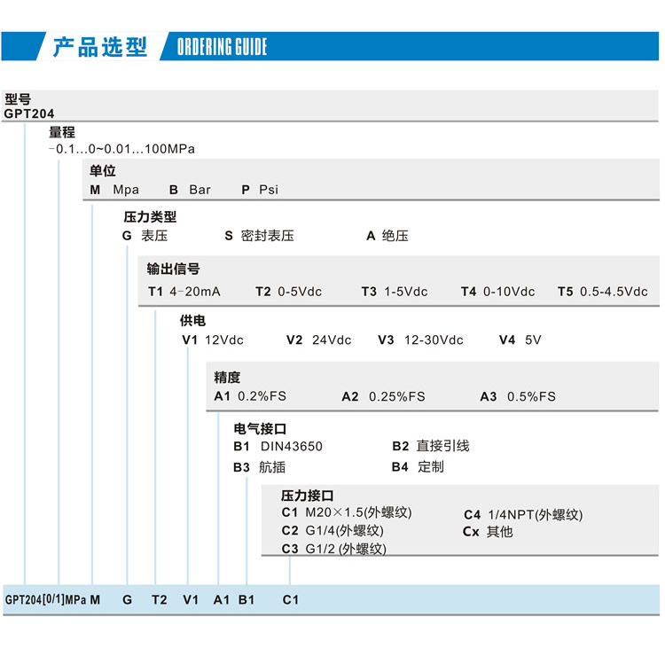 GPT204 數顯壓力變送器